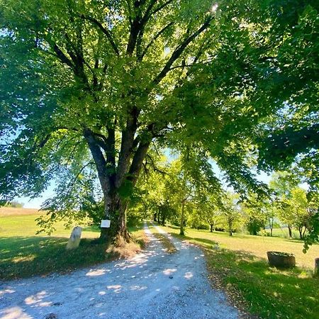 Gite De L'Edelinie Nanteuil-Auriac-de-Bourzac Kültér fotó