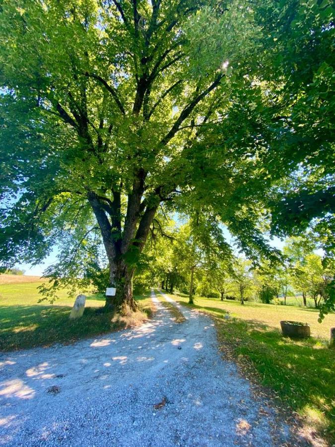 Gite De L'Edelinie Nanteuil-Auriac-de-Bourzac Kültér fotó